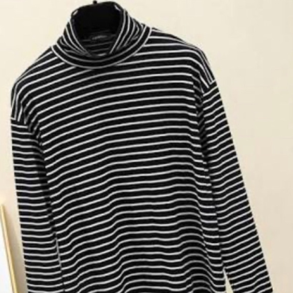 Jcrew stripped turtleneck